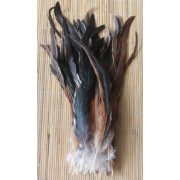 Kohoutí peří barvené 30-35 cm, barva přírodní černá s béžovou