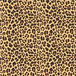 Vzor leopard