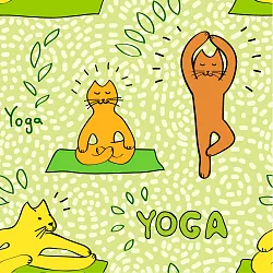 Vzor cats yoga