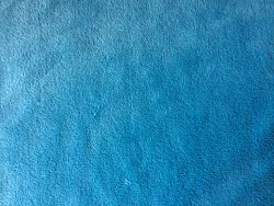 data/Coral fleece/IMG_0217.JPG