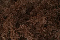 data/Kožešiny/A103_soft_fleace_hneda_sijemedoma.cz1.jpg