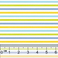 data/softshell potisk/vzor0037-pravitko.jpg