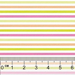 data/softshell potisk/vzor0041-pravitko.jpg