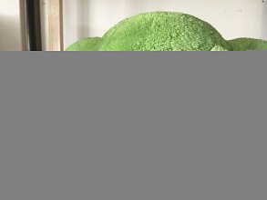 data/Coral fleece/IMG_0232.JPG