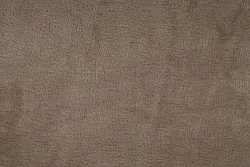 data/Coral fleece/coral_fleece_A33_khaki.jpg