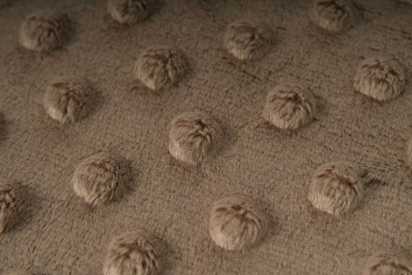 data/Coral fleece/Minky/minky_fleece_fleace_hneda_seda_www.sijemedoma.cz.jpg