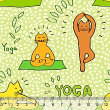 data/Funkční/133_funkcni_latka_metraz_cats_yoga_pravitko_www.sijemedoma.cz.jpg