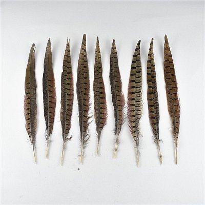 data/Galanterie/cina/peri/bazanti_ocasni_peri_dekorace_rybareni_modistika_aranzovani_www.sijemedoma.cz.jpg