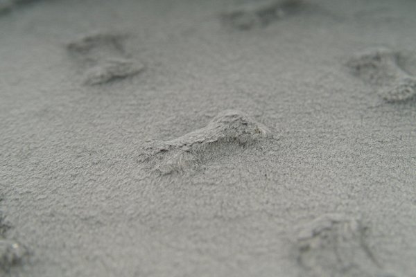data/Coral fleece/Minky/minky_stribrny_kosticky_latka_metraz_www.sijemedoma.cz1.jpg