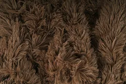 data/Coral fleece/Soft/coral_soft_fleece_hnedoseda_latky2_metraz_sijemedoma.cz.jpg