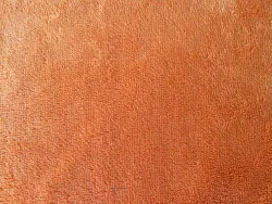 data/Coral fleece/IMG_0263.JPG