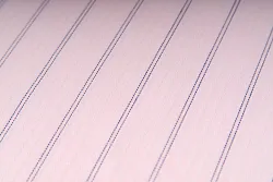 data/Plátno 2023/PL9_platno_3.jpg