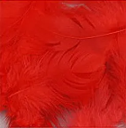 Peří barvené 3-5 cm, 10g, barva červená