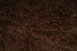 Coral soft fleece hnědá, látka, metráž