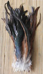 Kohoutí peří barvené 25-30 cm, barva přírodní černá s béžovou