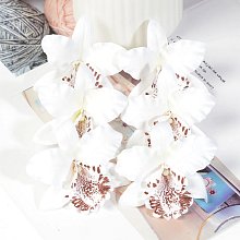 Květ orchidej, textilní dekorace, květina bílá s hnědou