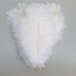 Pštrosí peří 30-35cm, barva přírodní bílá