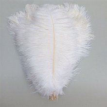 Pštrosí peří 30-35cm, barva přírodní bílá