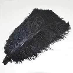 Pštrosí peří 35-40 cm, barva černá