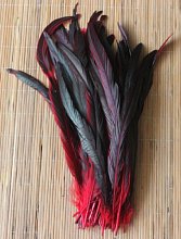 Kohoutí peří barvené 30-35 cm, barva přírodní černá s červenou