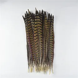 Bažantí ocasní pero 40-45 cm