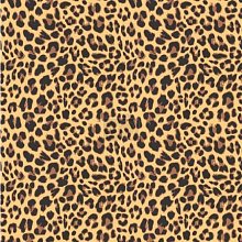 Vzor leopard