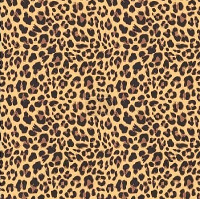 Vzor leopard