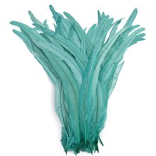 Kohoutí peří barvené 20-30 cm, barva mátová