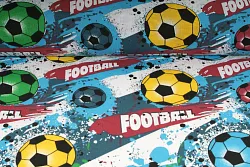 Plátno bavlněné - fotbal, metráž, látky