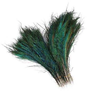 Paví peří 30 - 35 cm, bez oka, dekorace