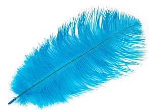 Pštrosí peří 30-35cm, barva tyrkysová