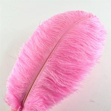 Pštrosí peří 30-35cm, barva růžová