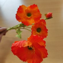 Maky, textilná dekorácia, kvet oranžový - žíhaný 60cm