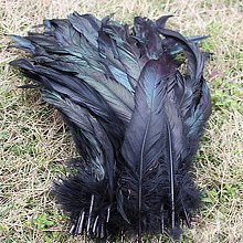 Kohoutí peří barvené 15-30 cm, barva přírodní černá s červenou II.JAKOST