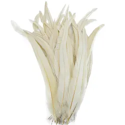 Kohoutí peří barvené 15-30 cm, barva krémová II.JAKOST