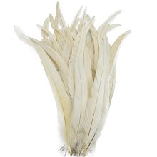 Kohútie perie farbené 15-30 cm, krémová farba II.KVALITA