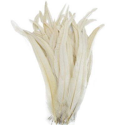 Kohútie perie farbené 15-30 cm, krémová farba II.KVALITA